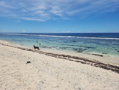 3 ' from a magnificent beach Fare de 55M2 Ideally located for golfers.