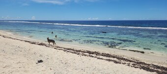 3 ' from a magnificent beach Fare de 55M2 Ideally located for golfers.
