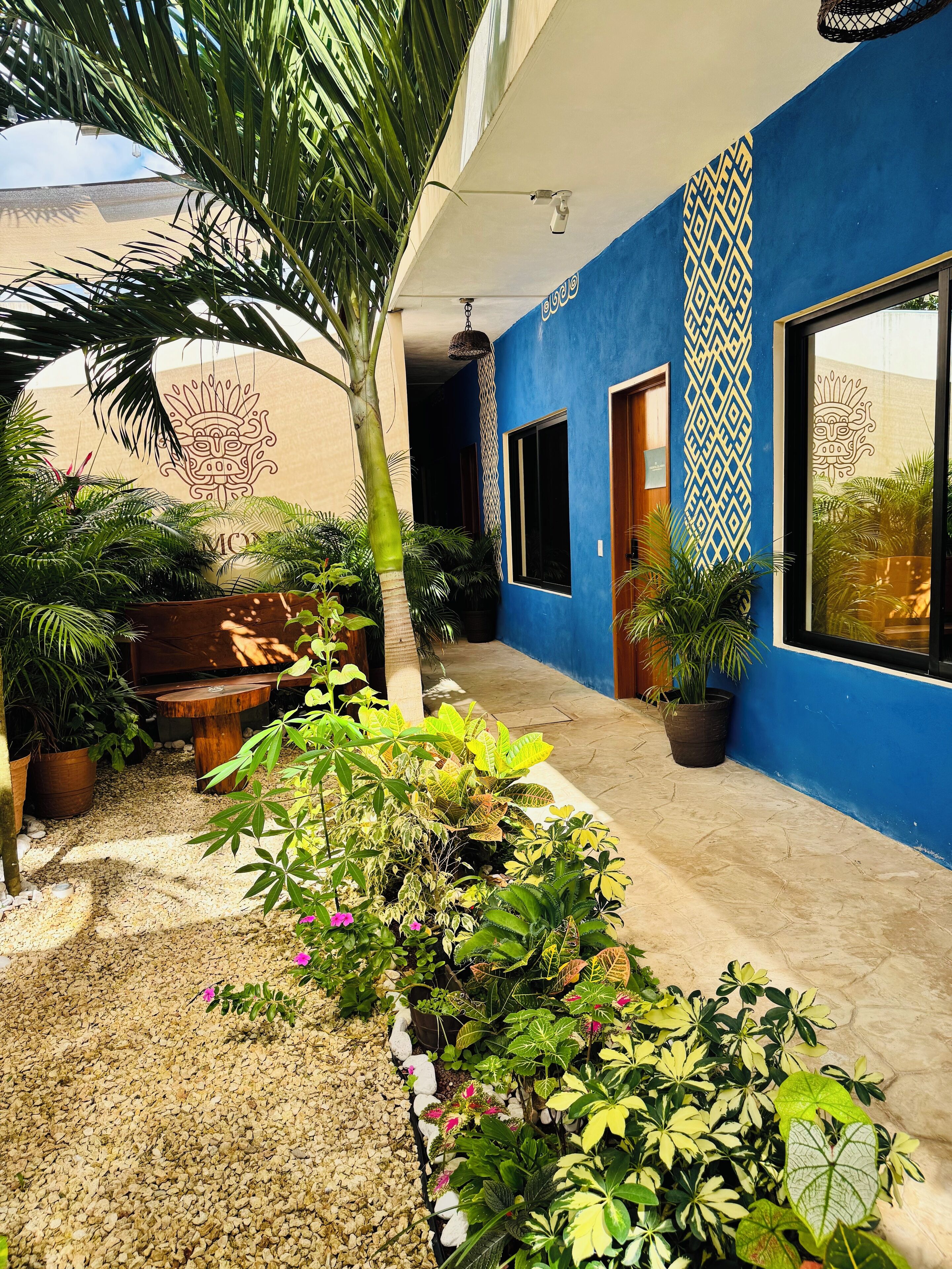 Un patio con un muro azul, plantas en macetas, un banco de madera y un muro decorativo con un diseño geométrico.