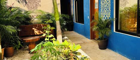 Un patio con un muro azul, plantas en macetas, un banco de madera y un muro decorativo con un diseño geométrico.