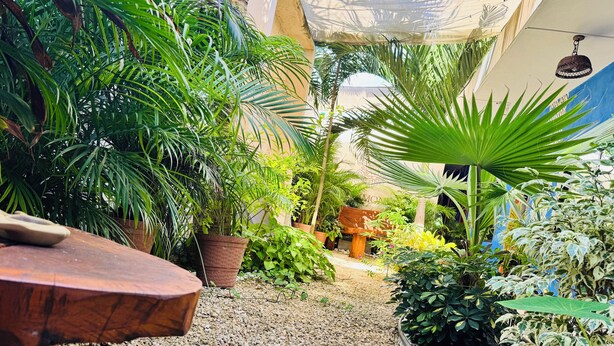 A garden with various potted plants and a gravel path. - Ceremonial Tulum (Tulum)