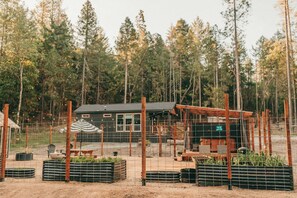 Property grounds - Tiny Cabin Retreat w/Hot Tub & Alpacas Rescue (Josephine County)