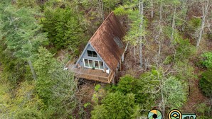 An aerial view of a rustic cabin surrounded by dense forest. - Steps from Bryce Resort - Ski slope views & golf (Basye)