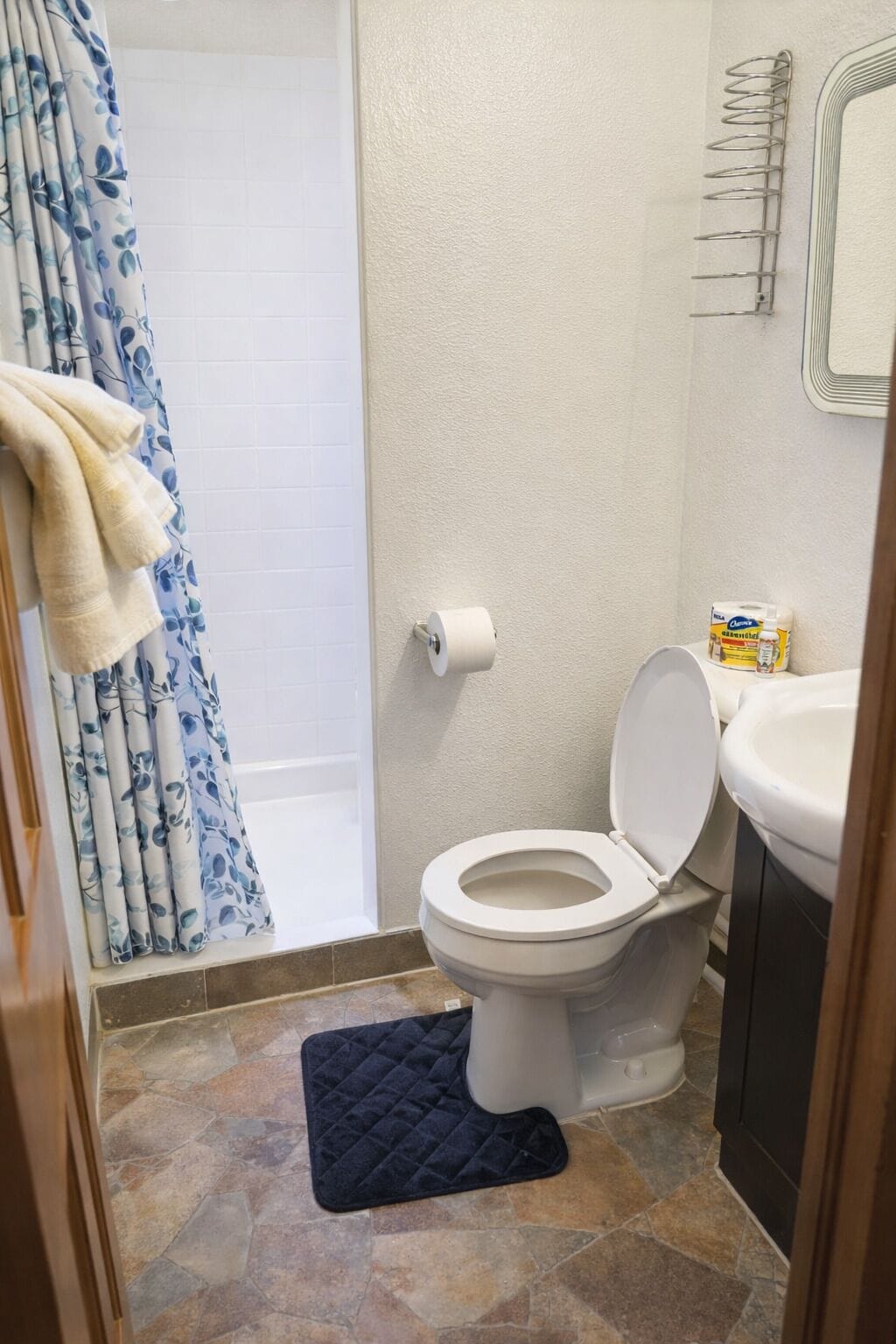 Room | Bathroom | Shower, free toiletries, towels