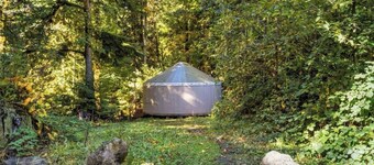 Tranquil Forest Yurt Retreat in Washington State.