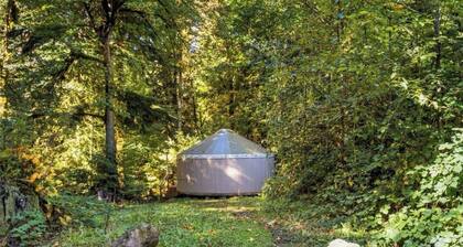 Tranquil Forest Yurt Retreat in Washington State.