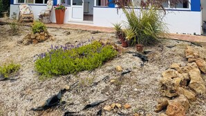 Een blauw-wit huis met een pannendak, grote ramen en een tuin met diverse planten en een rotsdecoratie.