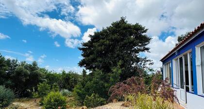 Casa Maria Accommodation