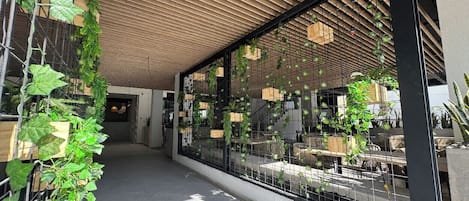 Bar (in loco)