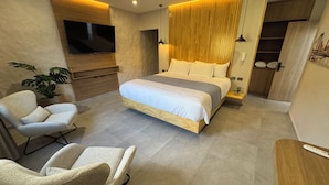 A modern bedroom with a large bed, a TV, a plant, and a desk. - Hotel San Gil House (San Gil)