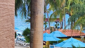 A poolside area with lounge chairs and umbrellas, palm trees, and a view of the ocean. - Tranquil Paradise w/ private round-trip transportation and custom
 KING Beds, (BAY ISLANDS)