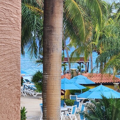 2 KING BEDROOMS, INCLUDES RESORT FEES & ONE AIRPORT TRANSFER!



 