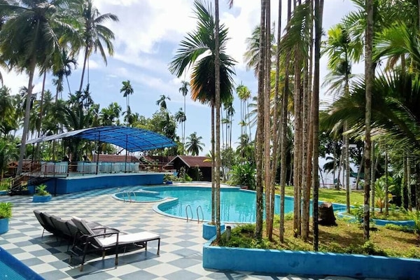 Outdoor pool, open 10:00 AM to 7:30 PM, pool loungers