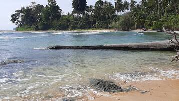 Plage privée, sable blanc, chaises longues, massages sur la plage