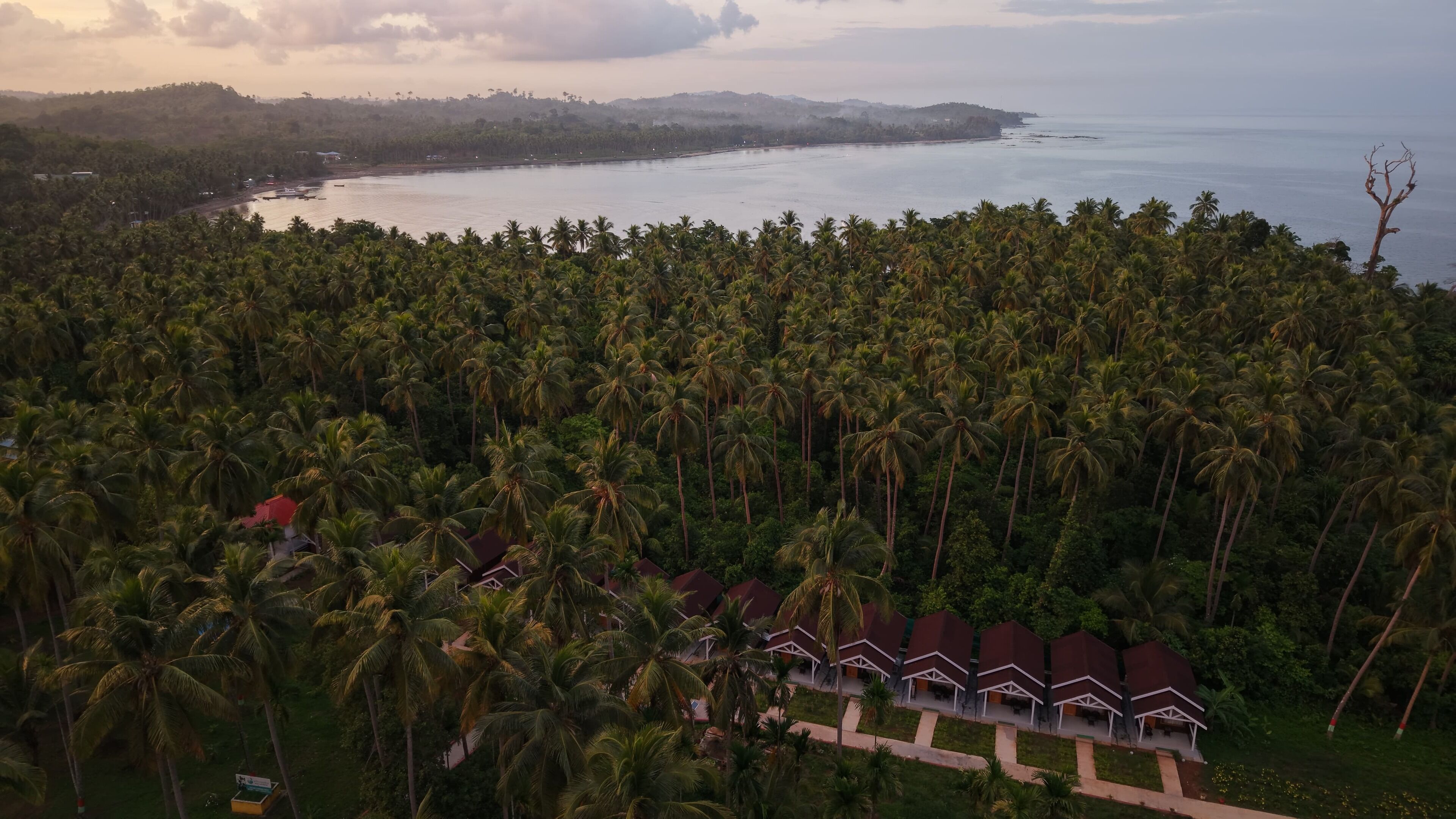 A resort with multiple bungalow-style buildings surrounded by dense palm trees, overlooking a calm sea and distant hills.