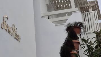 Details aan de buitenkant