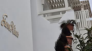 Details aan de buitenkant