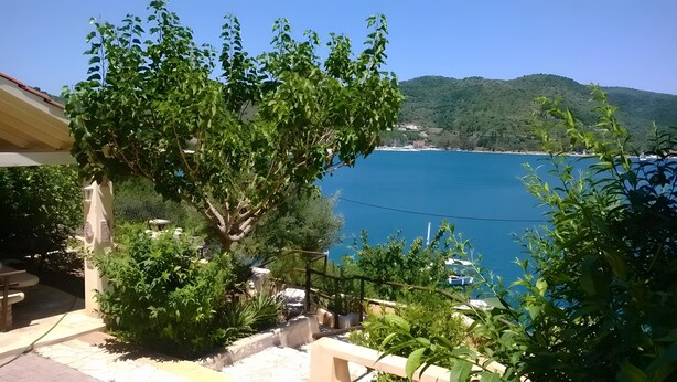A coastal view with a tree, a bench, and a clear blue sea. - Apartment 'Kymothoi' with Sea View, Wi-Fi and Air Conditioning (Ithaca)