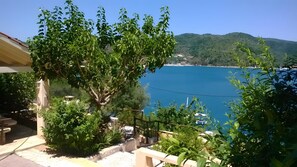 A coastal view with a tree, a bench, and a clear blue sea.