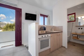 Fridge, oven, stovetop, electric kettle