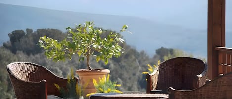 テラス / パティオ