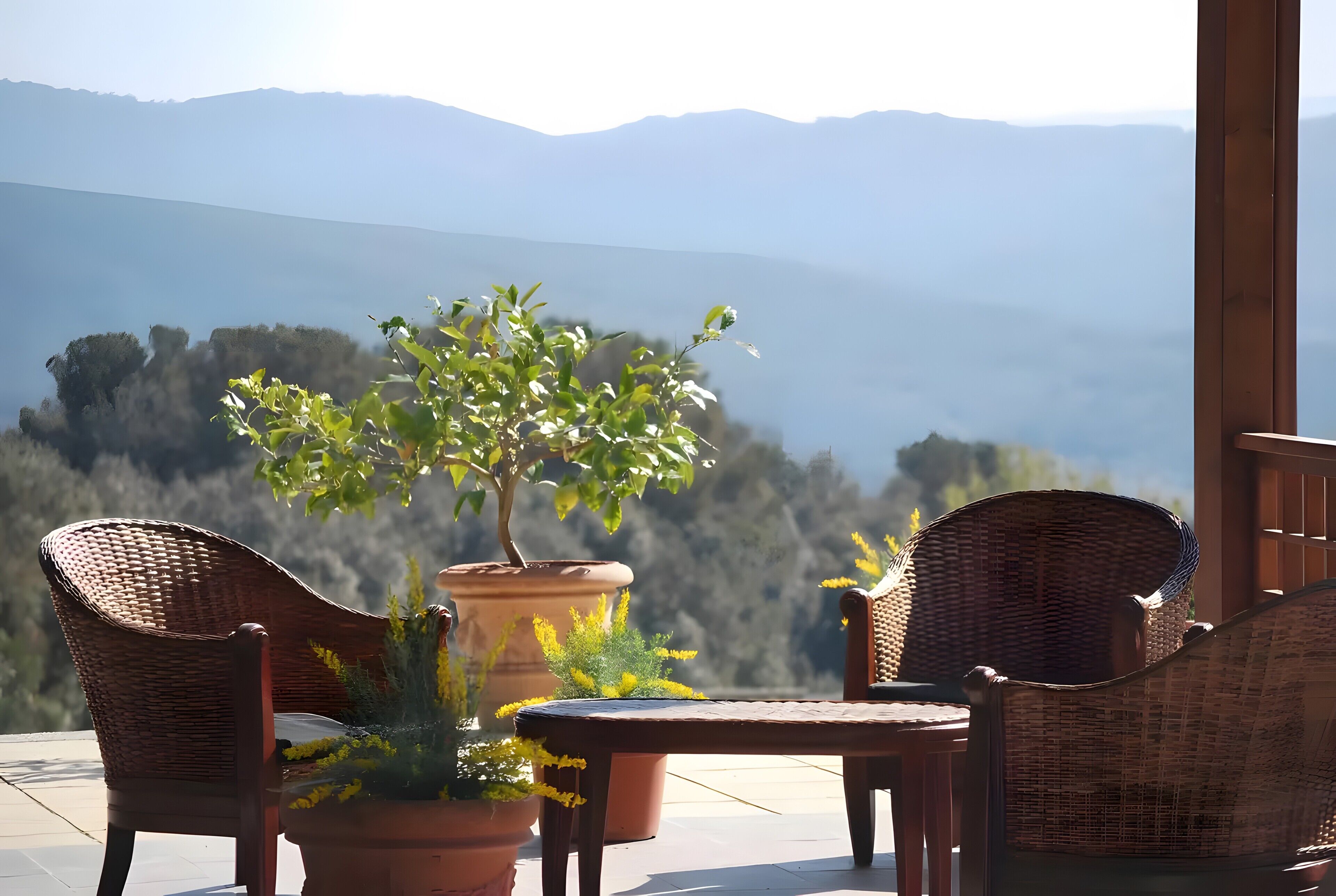 Terrace/patio