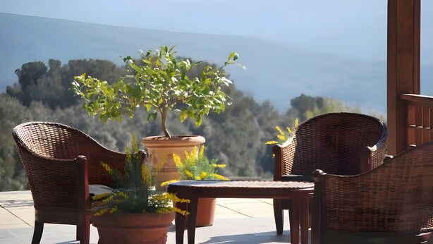 Wicker chairs, a table, and potted plants on a terrace with a mountain view. - Apartment 'Mirtillo' with Shared Pool, Wi-Fi and Air Conditioning (Livorno)