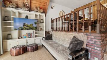 Smart TV, fireplace, books