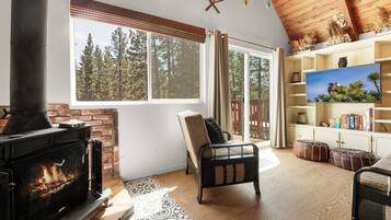 Smart TV, fireplace, books