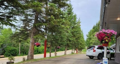 Athabasca Hillside Motel