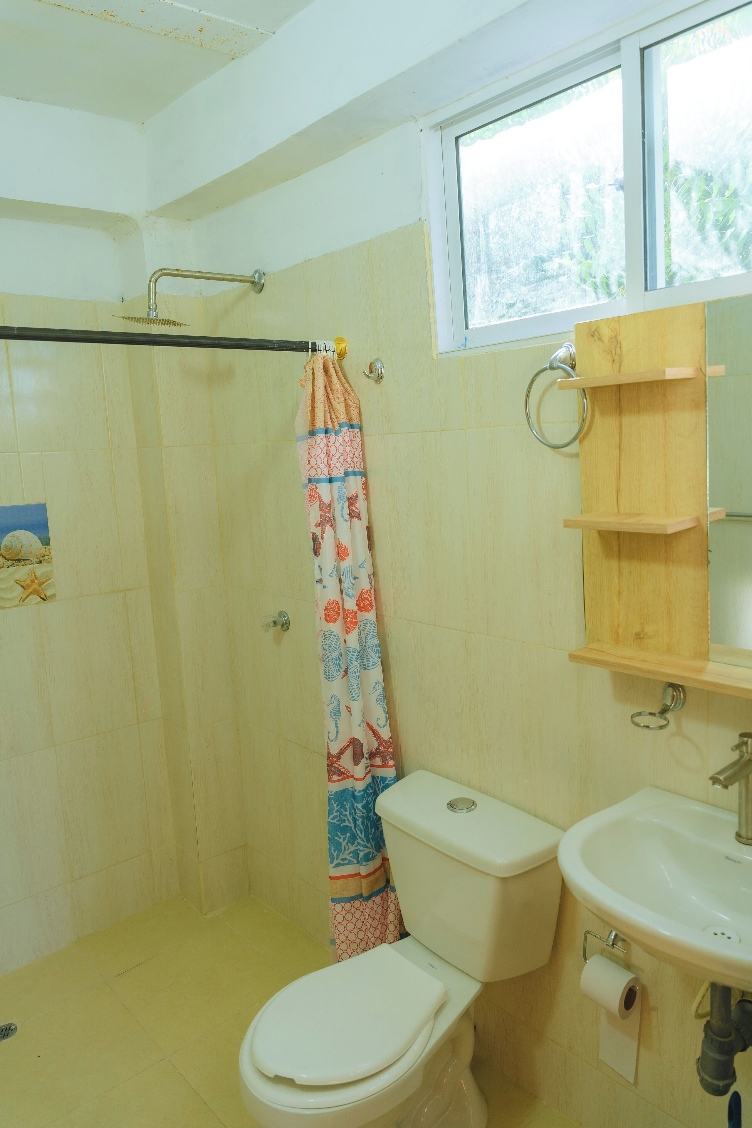 淋浴設備、毛巾、肥皂、衛生紙