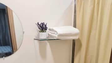 Shower, towels, soap, toilet paper