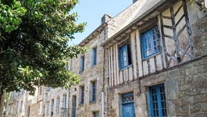 Una fila di edifici in pietra con persiane blu, una strada acciottolata e un albero con foglie verdi.