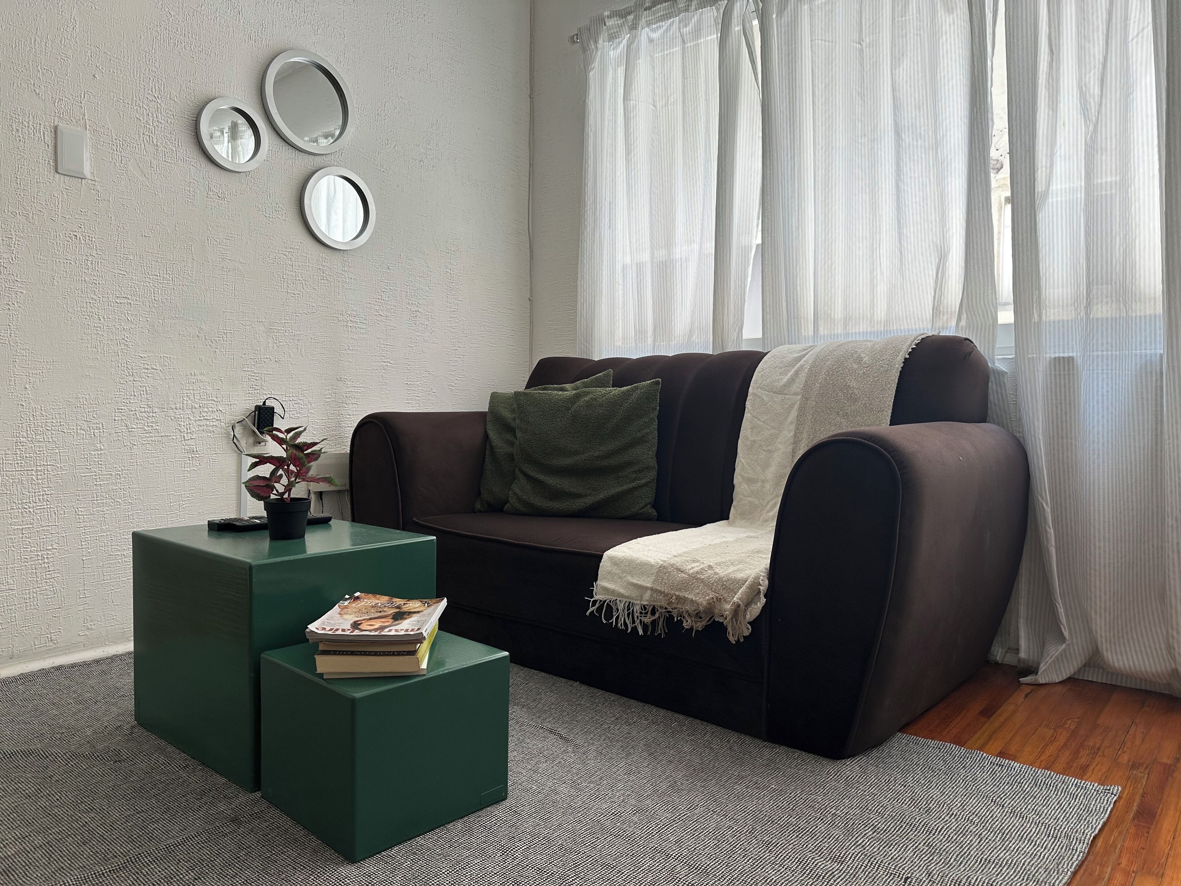 En stue med en mørkebrun sofa, et grønt sofabord med bøger, og en hvid gardin.