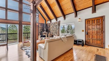 Televisión y chimenea