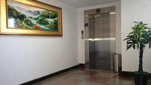 Un corridoio con un quadro, un ascensore e una pianta in vaso.