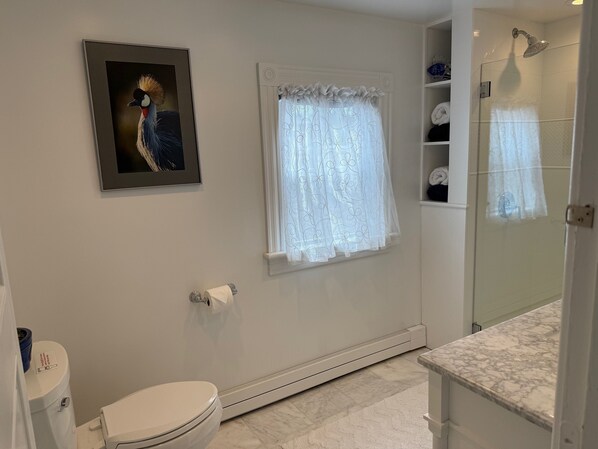 A bathroom with a toilet, a shower, a marble countertop, a framed picture on the wall, and a window with a patterned curtain.