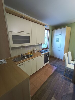 Fridge, oven, stovetop, dishwasher