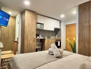 1 bedroom, iron/ironing board, WiFi, bed sheets - M&C DASR418 (Santiago)