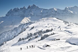 رياضات التزحلق على الجليد والماء