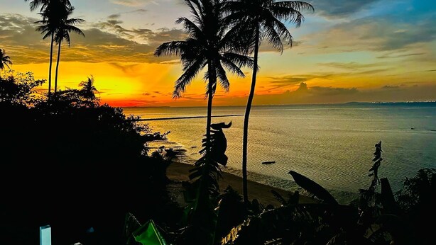 A sunset view with palm trees and a beach. - La Seahorse Homestay (Sebung)