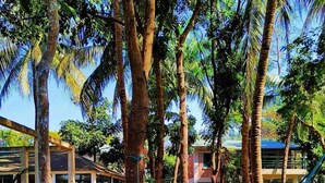 Un hamac tendu entre deux arbres, un mur de briques et un bâtiment avec un toit bleu.