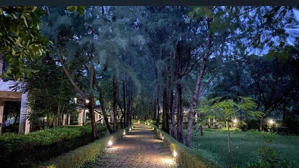 Un chemin bordé d’arbres et éclairé par des lampadaires, qui mène à un bâtiment à la façade en pierre.
