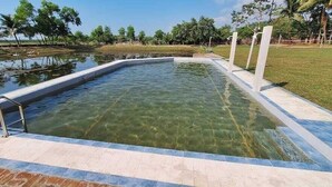 Une piscine rectangulaire à l’eau claire, entourée d’une terrasse carrelée et d’une zone herbeuse avec des arbres.