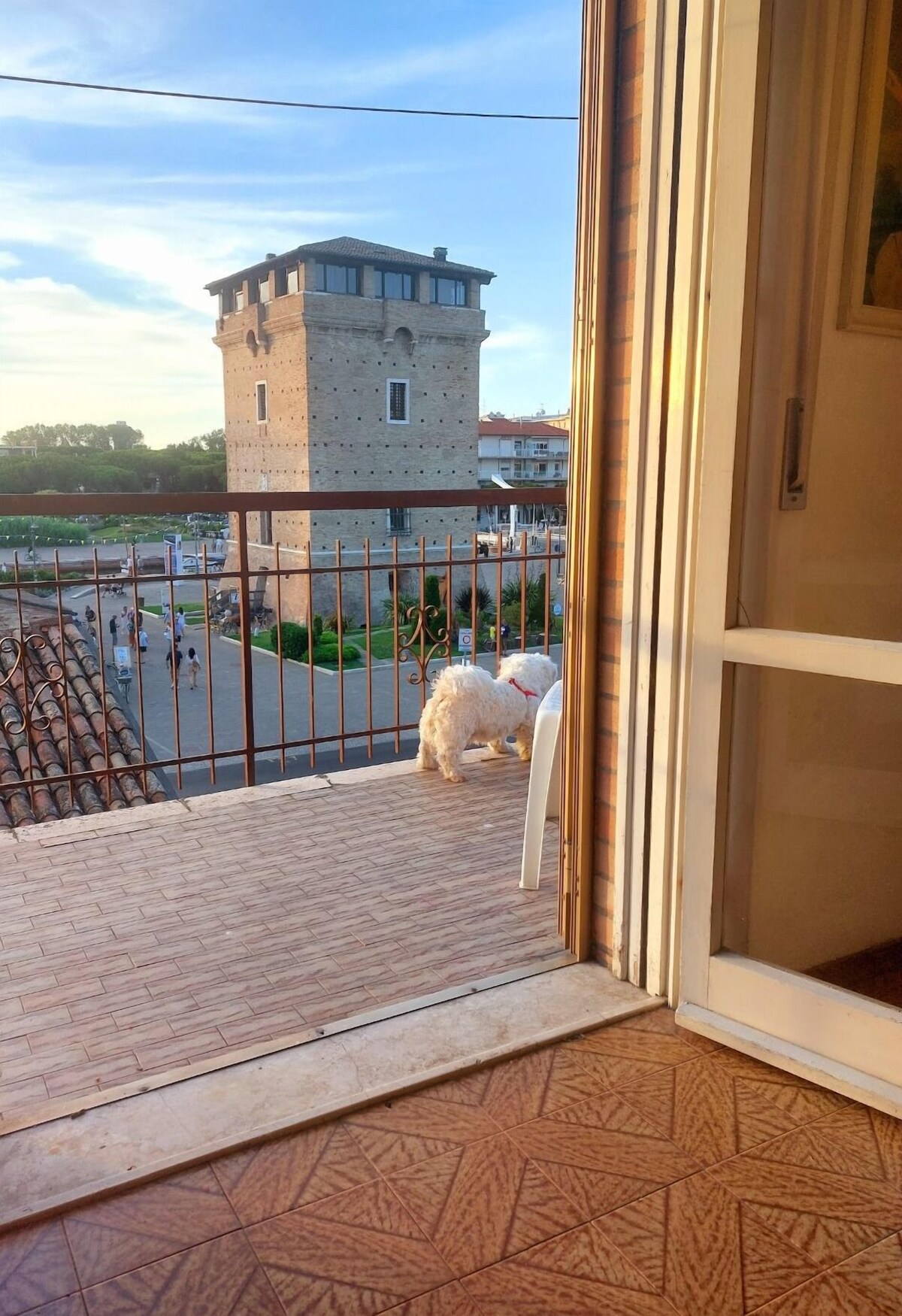 Imagen de perfil del propietario o de la propietaria