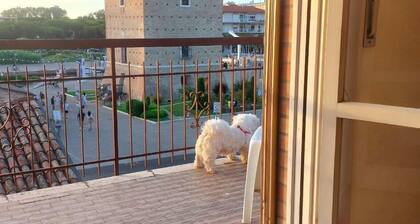 Cervia central large bright apartment spectacular view of the Tower