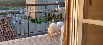 Cervia central large bright apartment spectacular view of the Tower