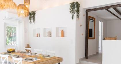 Les Pierres De La Massane