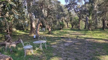 Un espacio al aire libre rústico con sillas de metal y una mesa, rodeado de árboles y un campo cubierto de hierba.