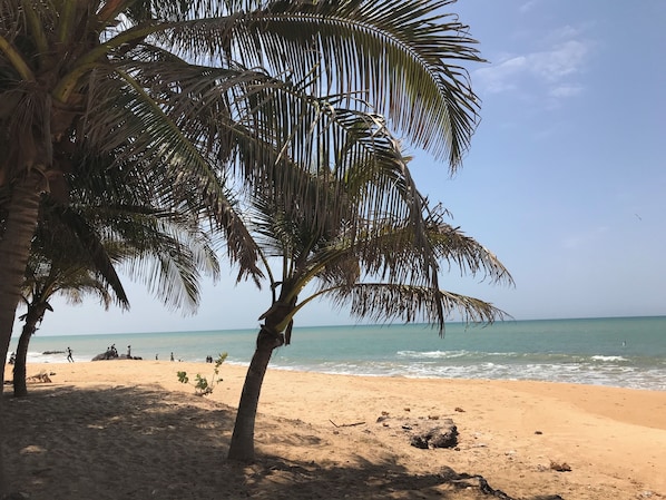 On the beach, sun-loungers